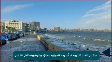 طقس الإسكندرية غداً: درجة الحرارة الحارّة والرطوبة خلال النهار